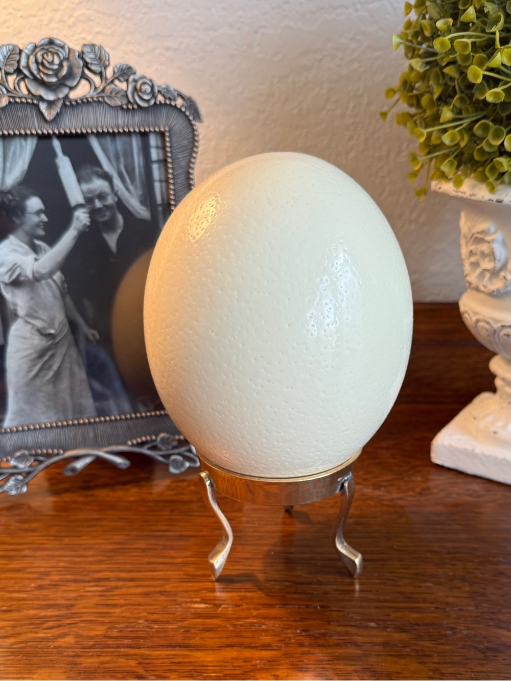 Large Real Blown Ostrich Egg